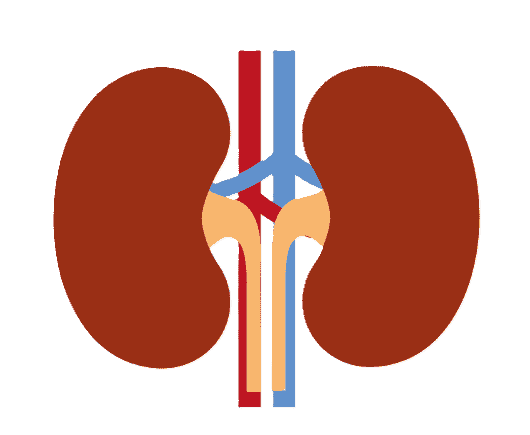 Kidney Disorders