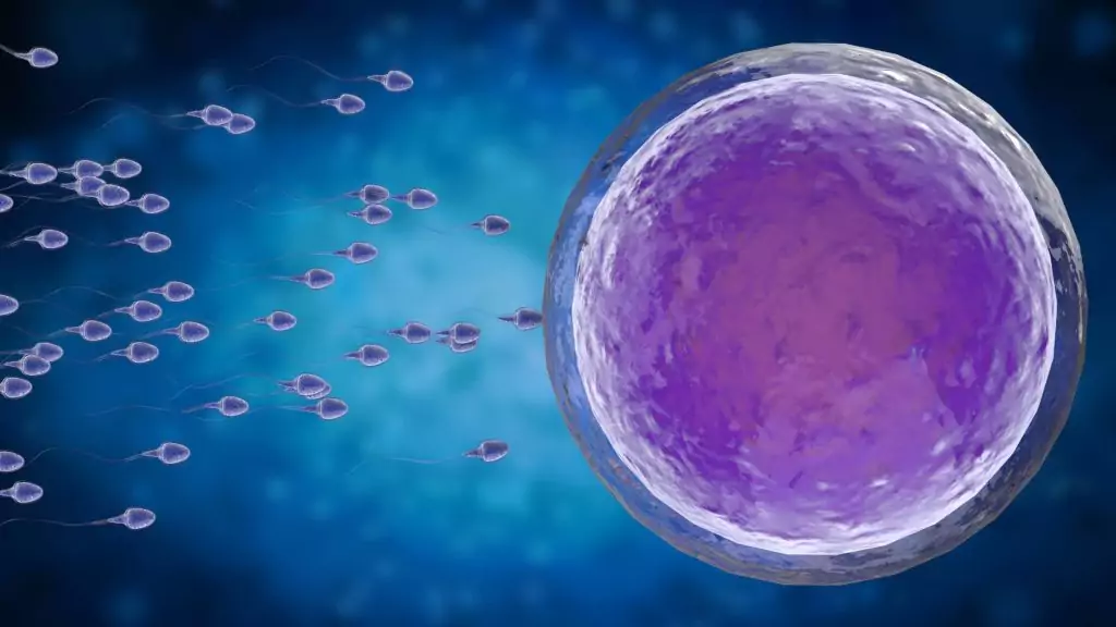 Azoospermia in India: Homeopathic Treatment, Costs, Clinic Guide & What You Need to Know